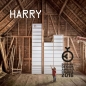 Preview: HARRY Regal, mit Klapptür, Tiefe 33,5cm